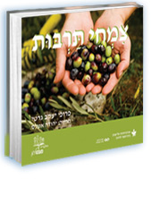 ���� �����