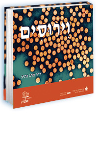 ����� ������ ����� ����